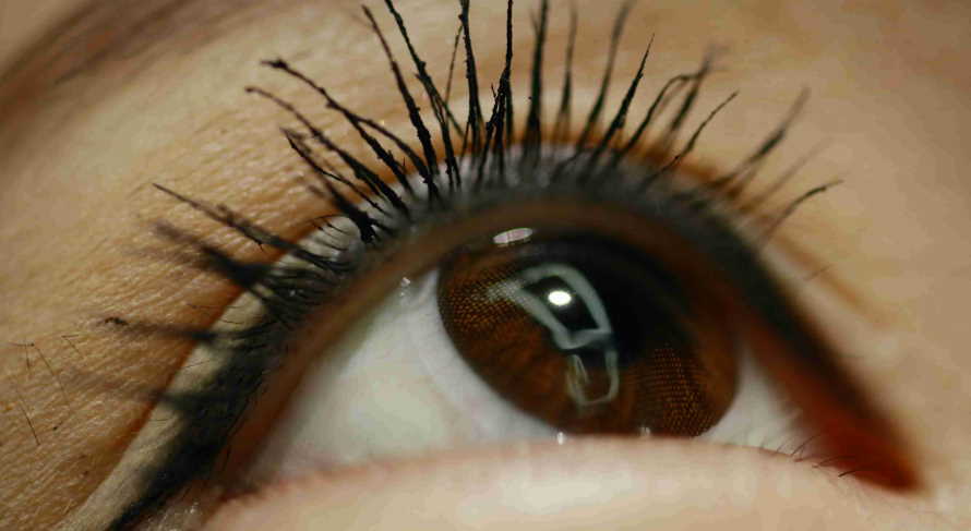 eyelids